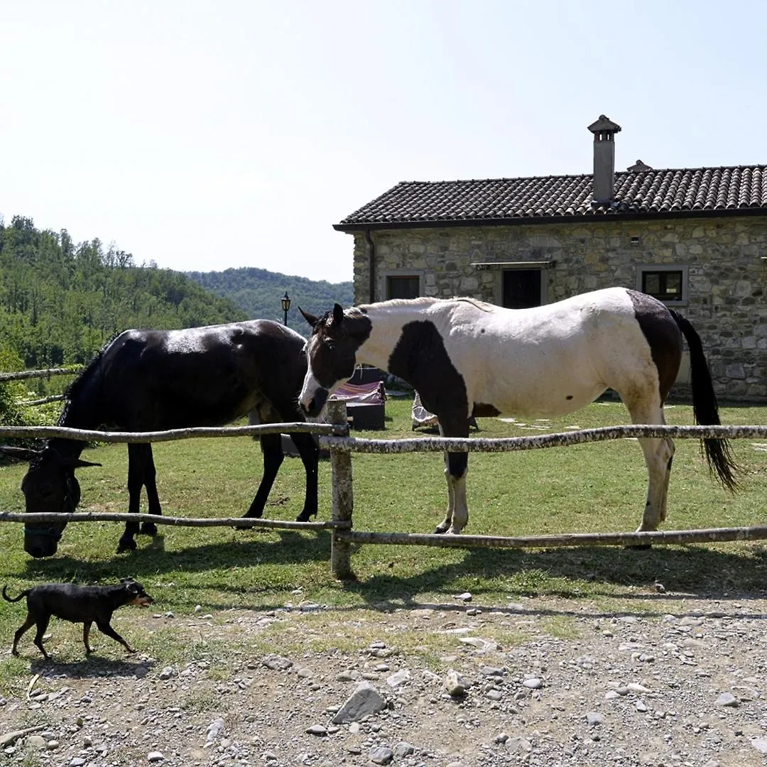 Villa Le Chianine Dei Tognoli à Gragnola Séjour à la ferme